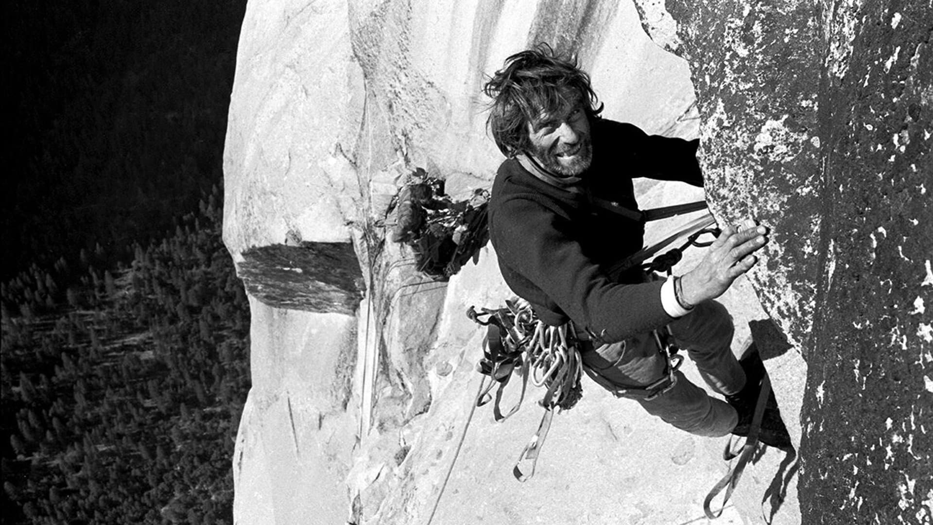 Brave New Wild backdrop