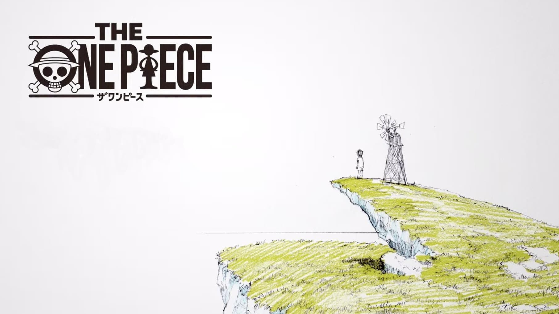 THE ONE PIECE backdrop