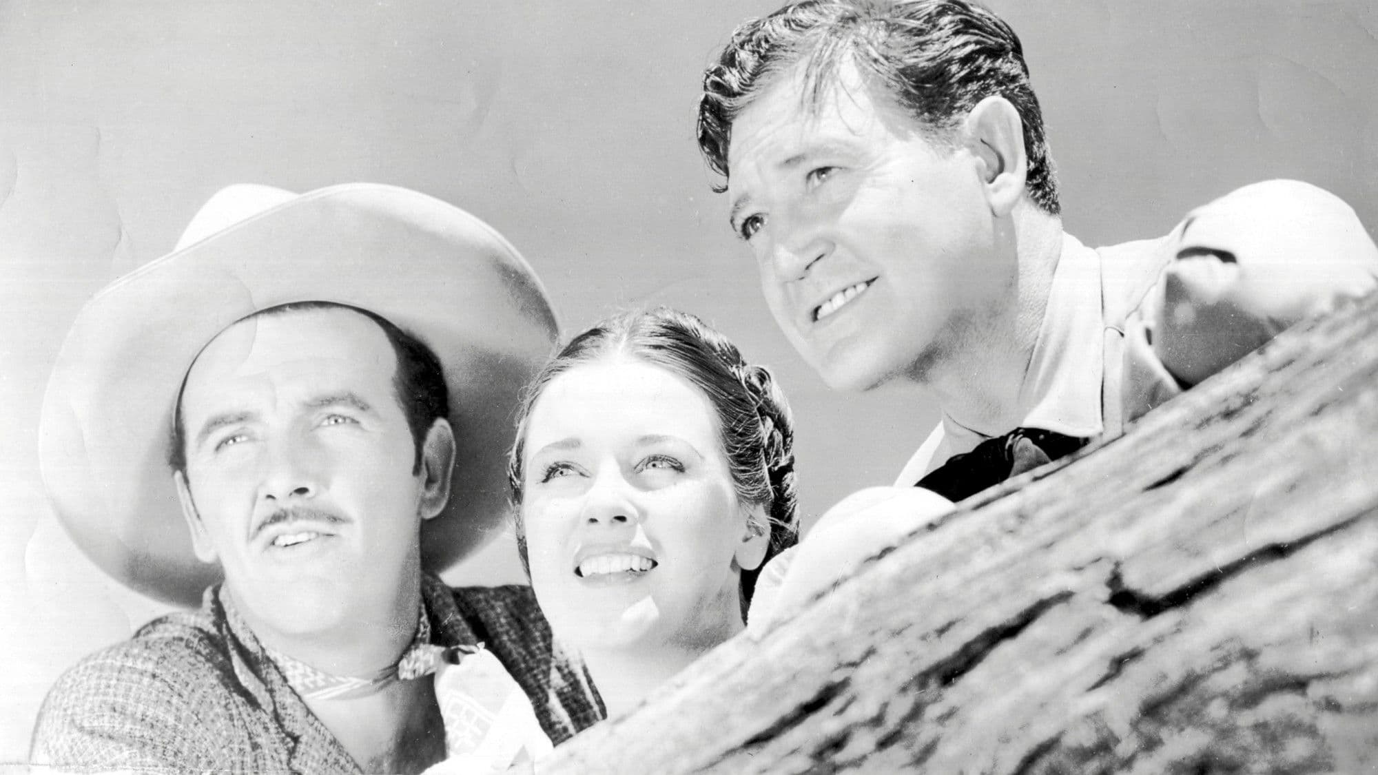 The Roundup backdrop
